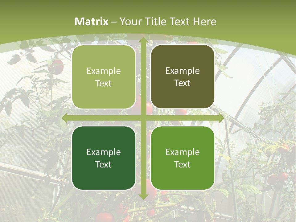 Yummy Healthy Plantation PowerPoint Template