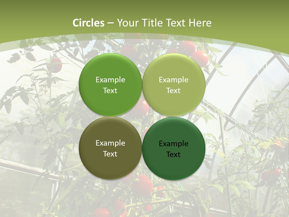 Yummy Healthy Plantation PowerPoint Template