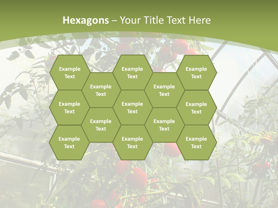 Yummy Healthy Plantation PowerPoint Template