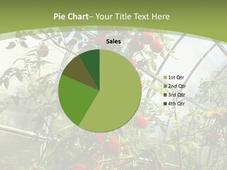 Yummy Healthy Plantation PowerPoint Template