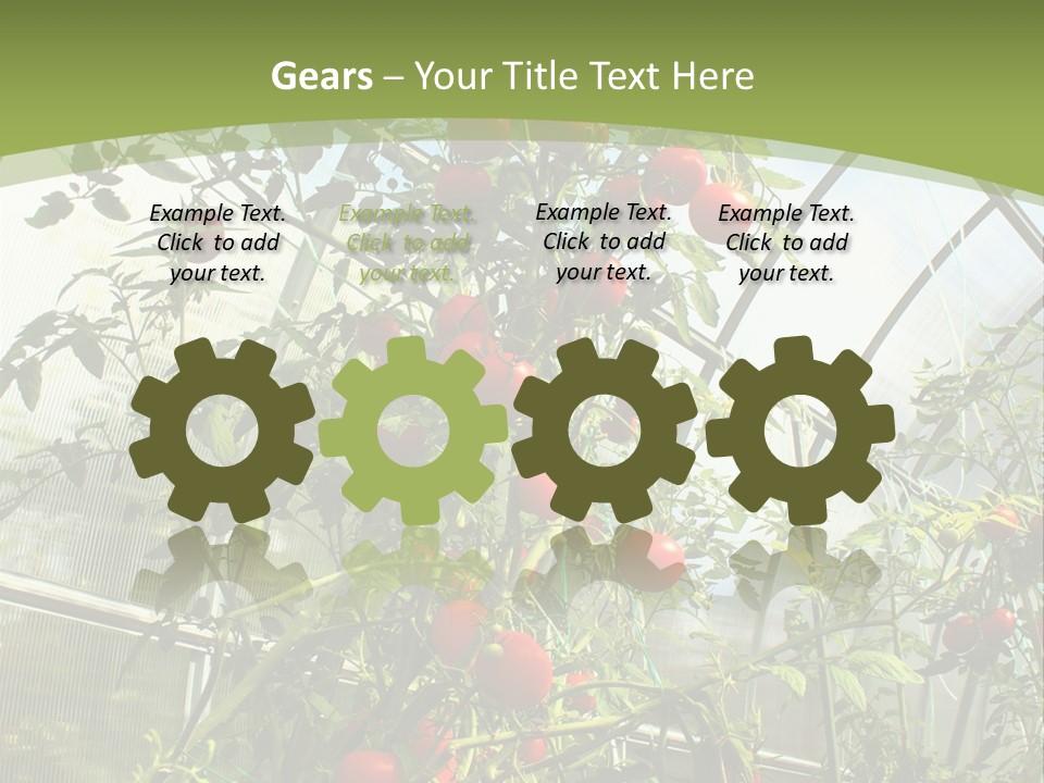 Yummy Healthy Plantation PowerPoint Template