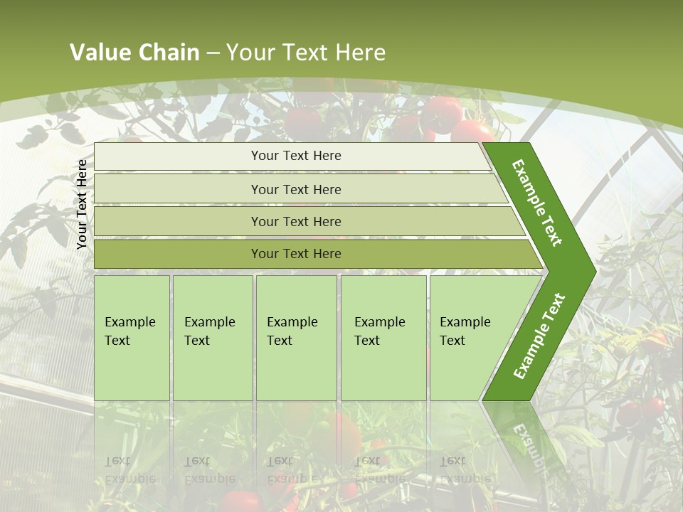 Yummy Healthy Plantation PowerPoint Template