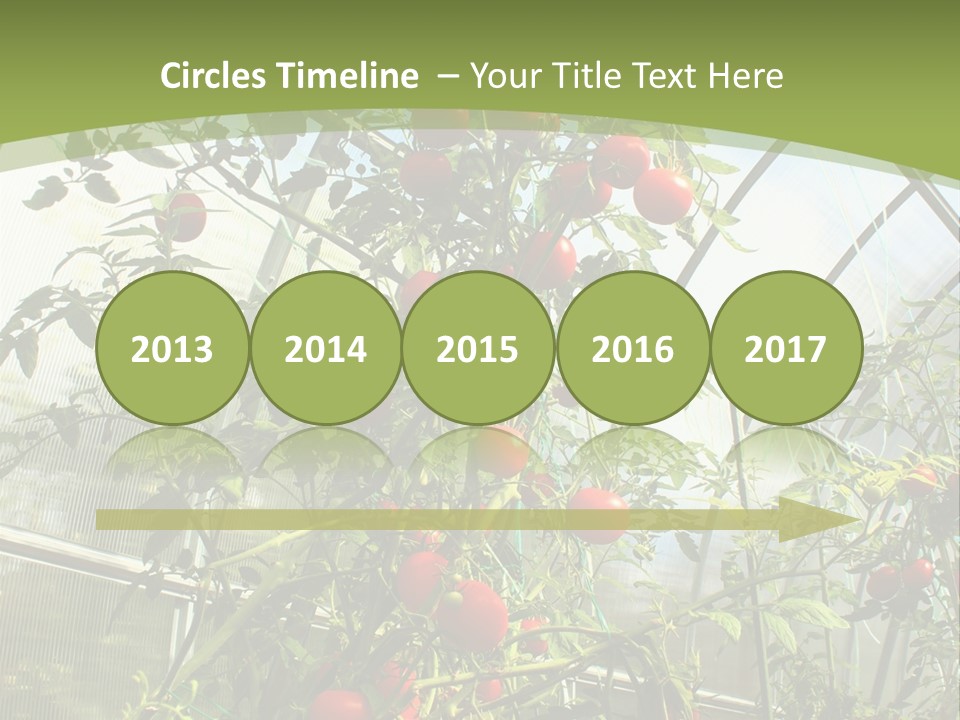 Yummy Healthy Plantation PowerPoint Template