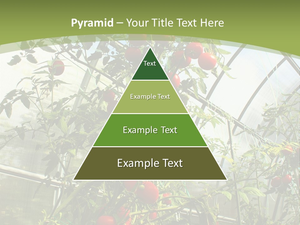 Yummy Healthy Plantation PowerPoint Template