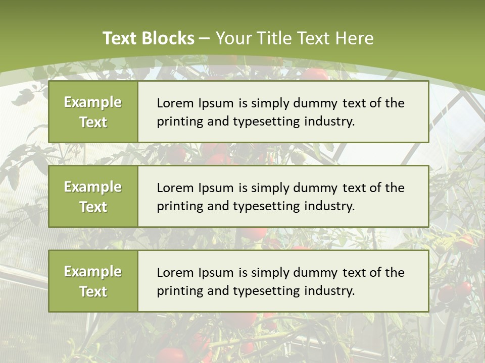 Yummy Healthy Plantation PowerPoint Template