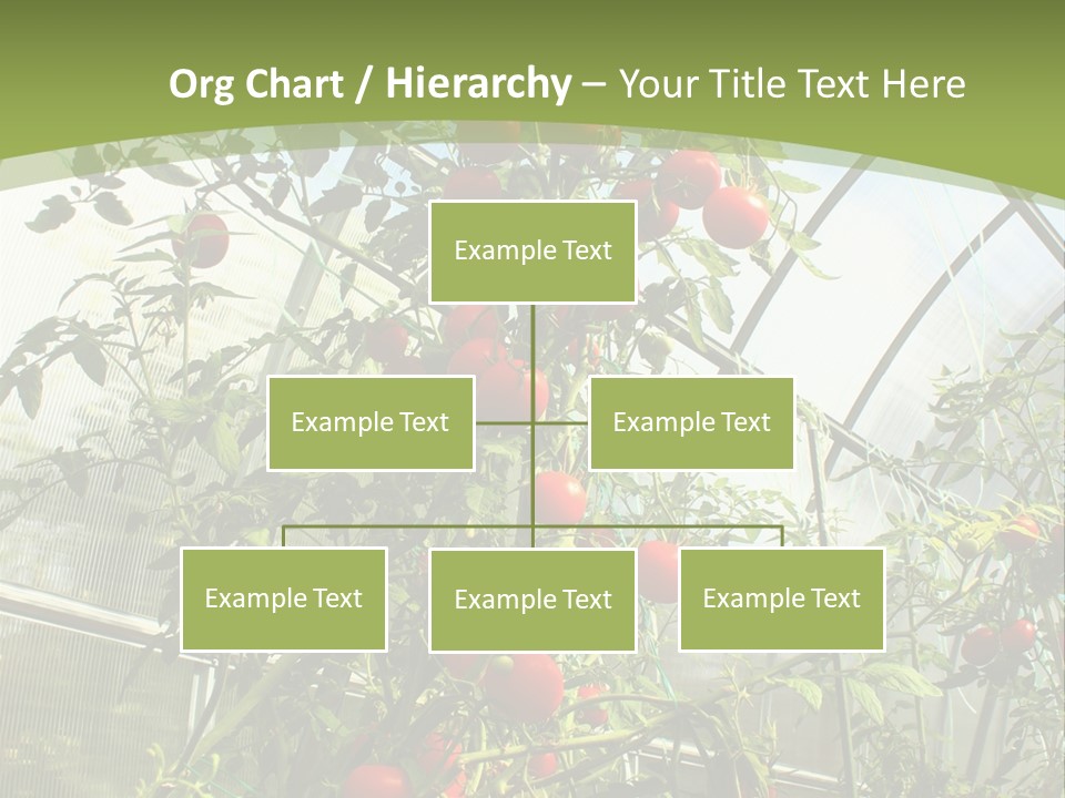Yummy Healthy Plantation PowerPoint Template