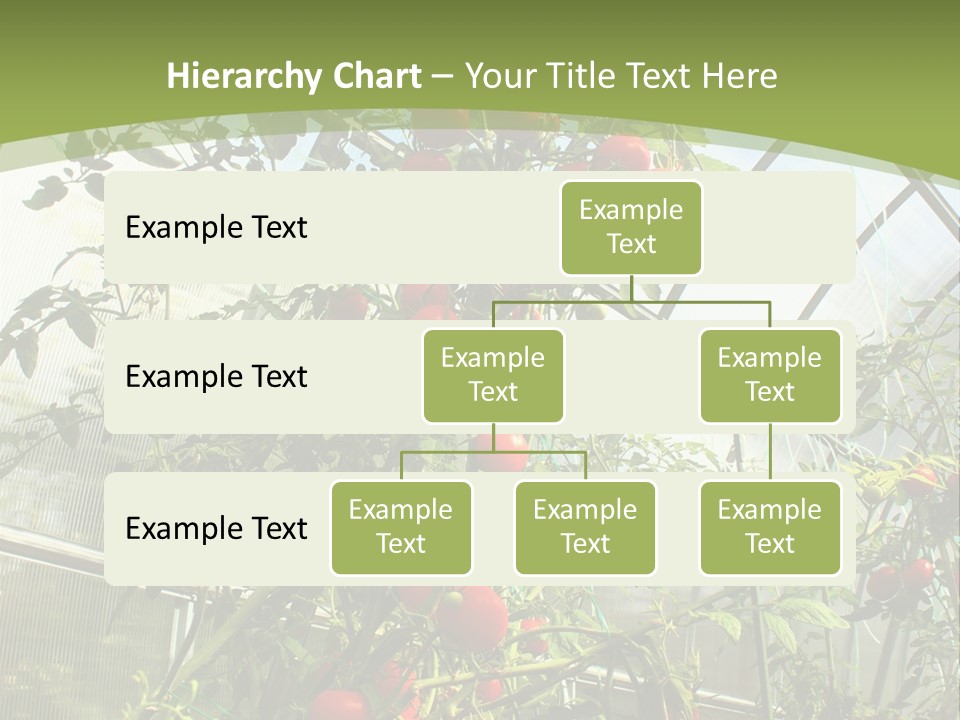 Yummy Healthy Plantation PowerPoint Template