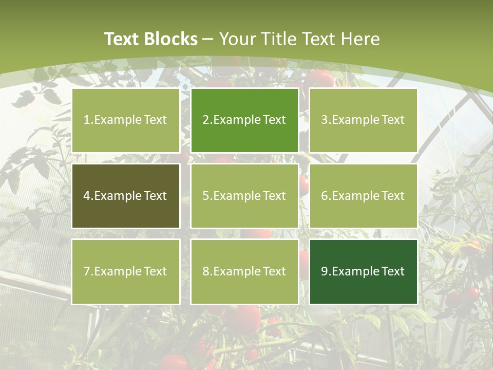 Yummy Healthy Plantation PowerPoint Template