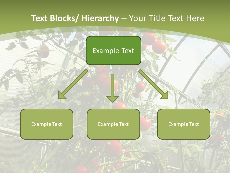 Yummy Healthy Plantation PowerPoint Template