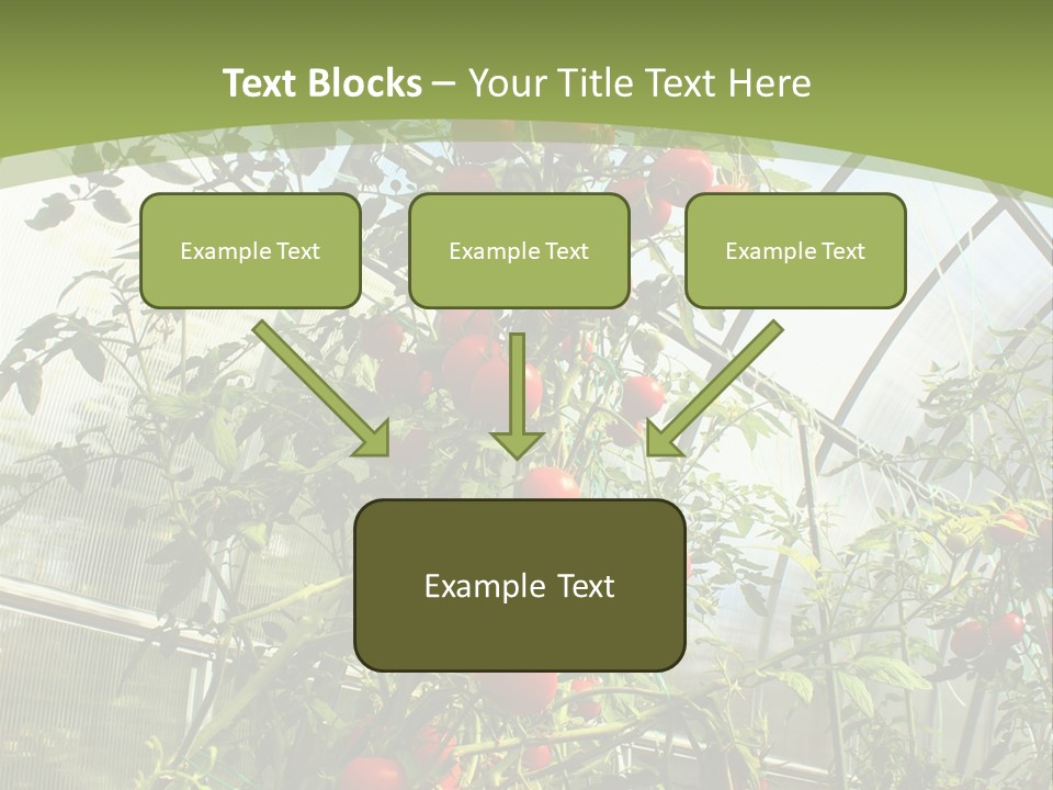 Yummy Healthy Plantation PowerPoint Template