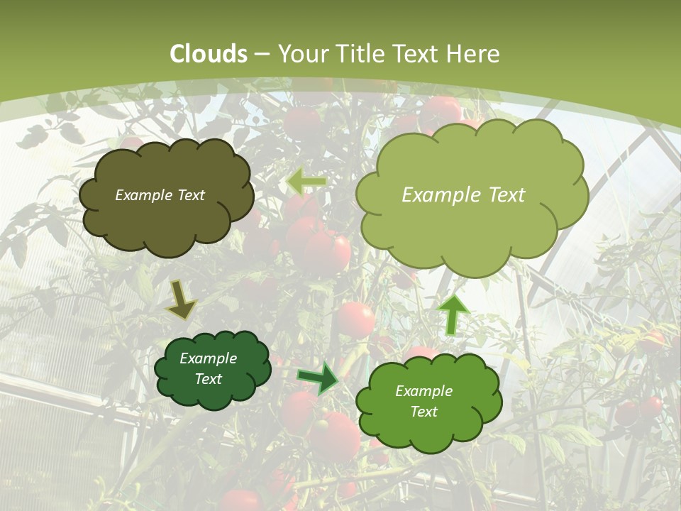 Yummy Healthy Plantation PowerPoint Template