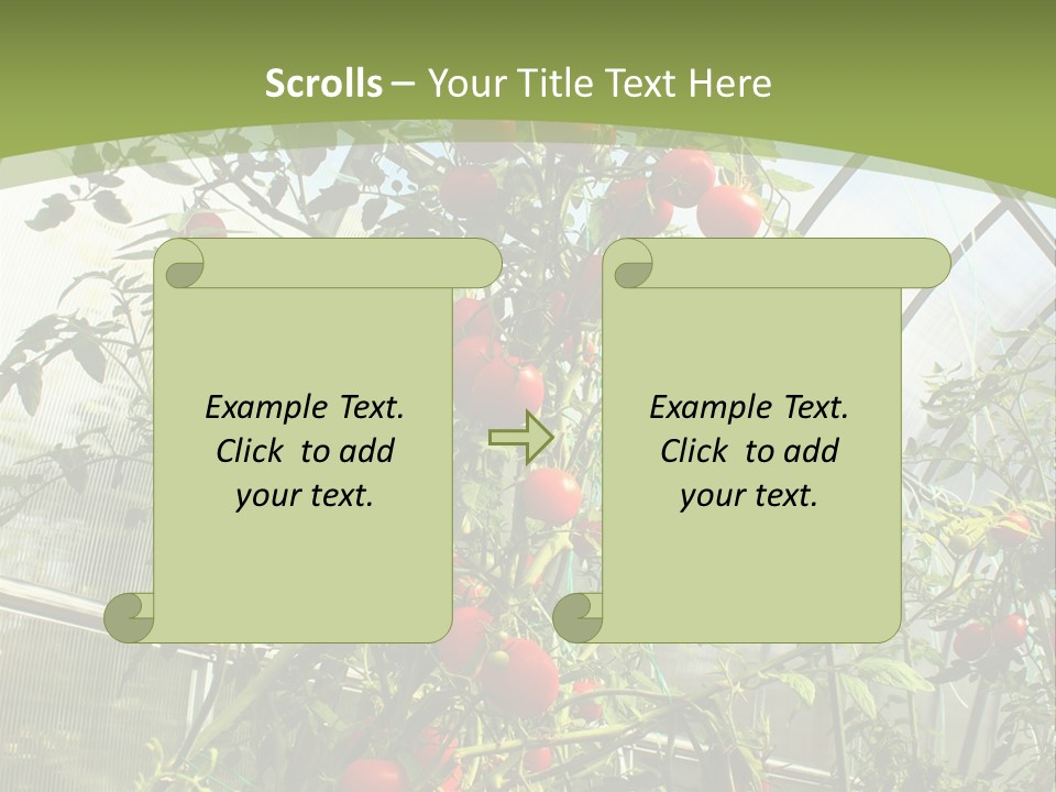 Yummy Healthy Plantation PowerPoint Template