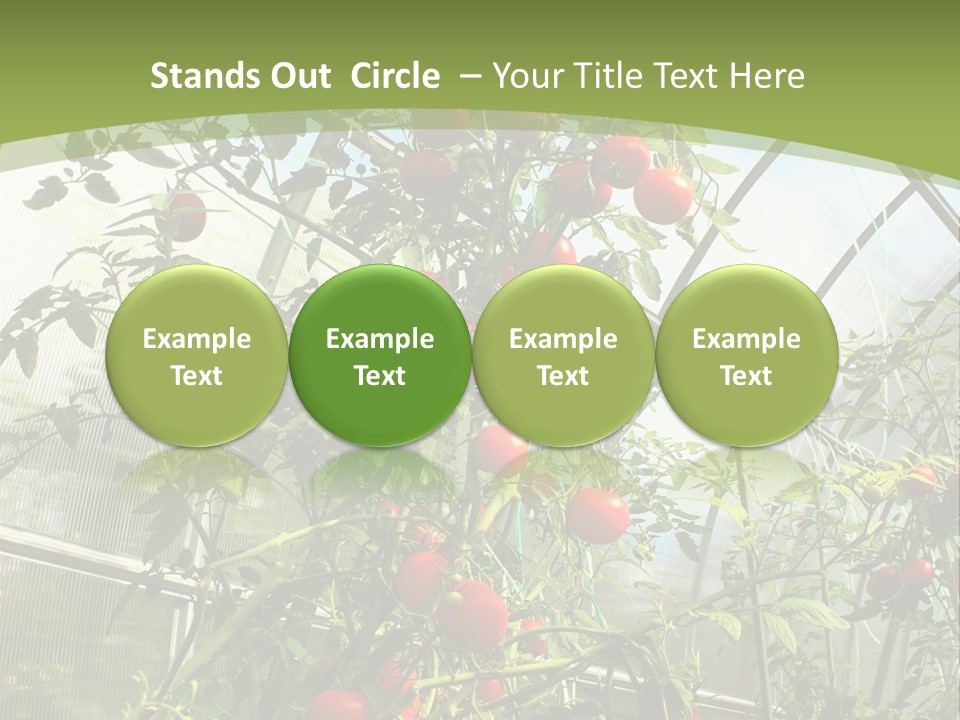 Yummy Healthy Plantation PowerPoint Template