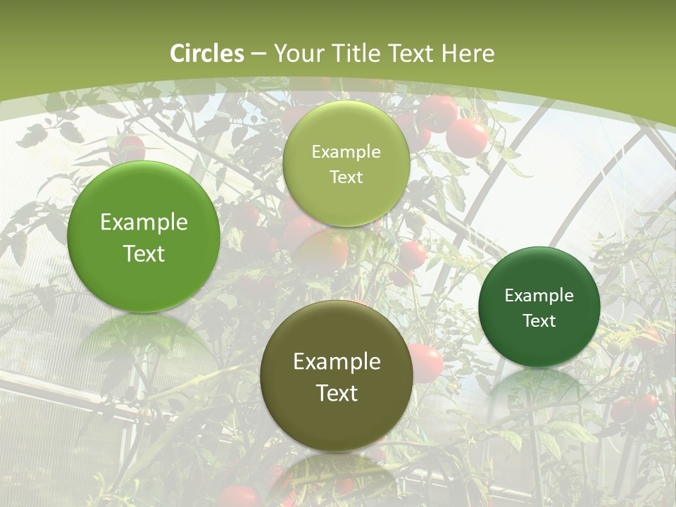 Yummy Healthy Plantation PowerPoint Template