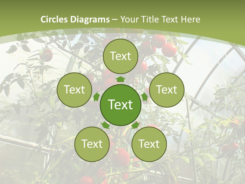 Yummy Healthy Plantation PowerPoint Template