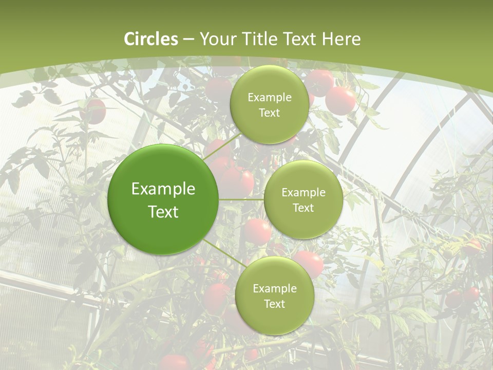 Yummy Healthy Plantation PowerPoint Template