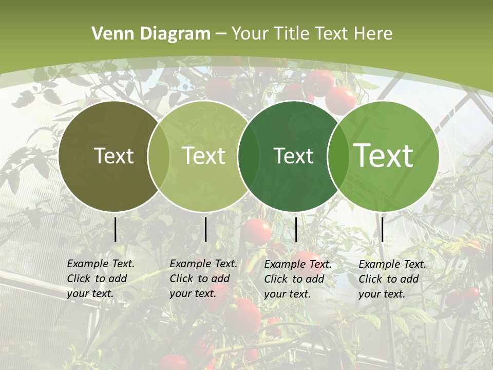 Yummy Healthy Plantation PowerPoint Template