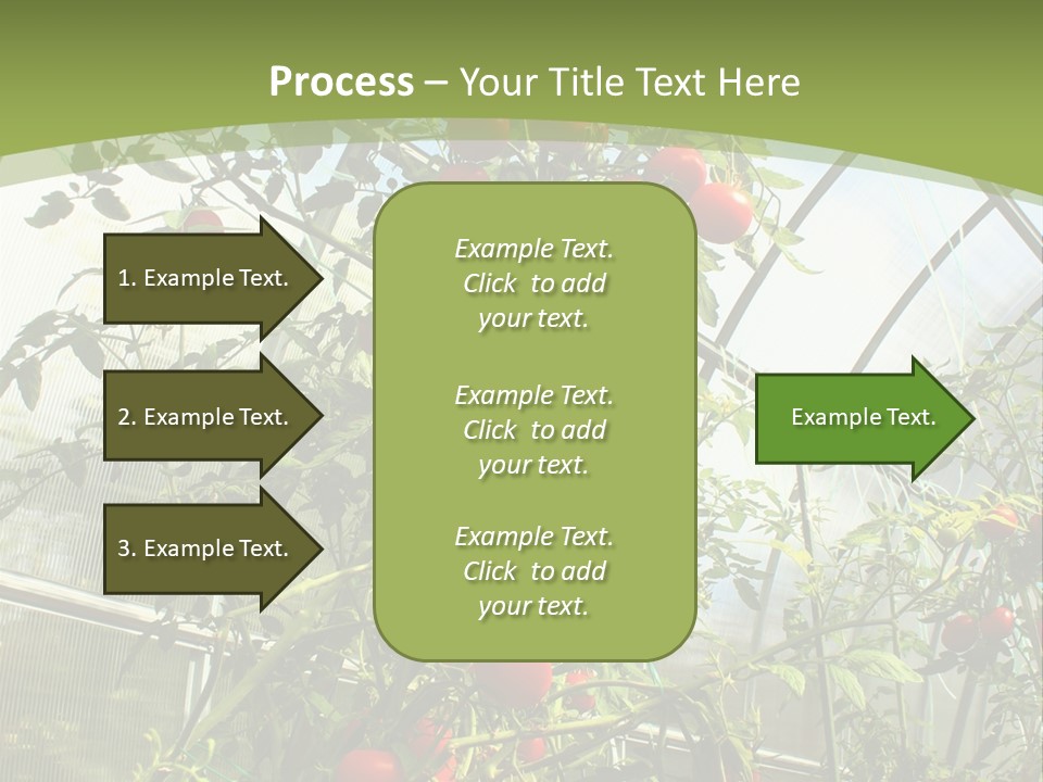 Yummy Healthy Plantation PowerPoint Template