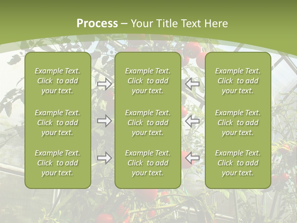 Yummy Healthy Plantation PowerPoint Template