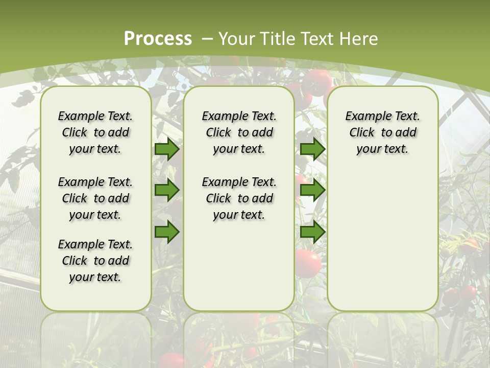 Yummy Healthy Plantation PowerPoint Template