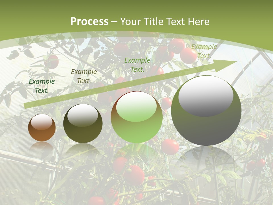 Yummy Healthy Plantation PowerPoint Template