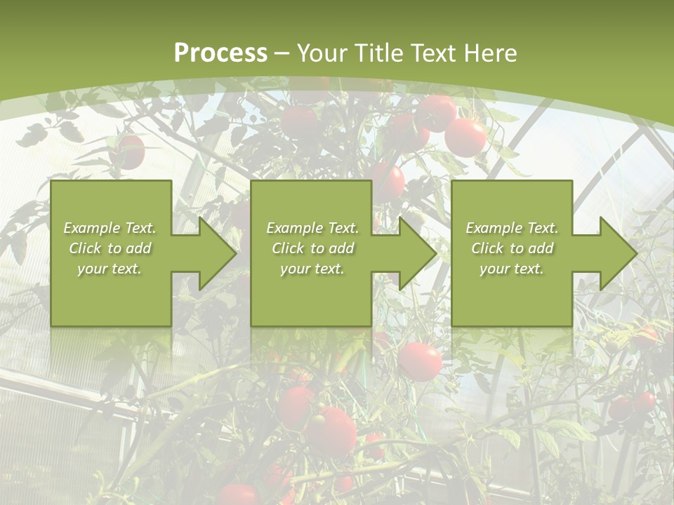 Yummy Healthy Plantation PowerPoint Template