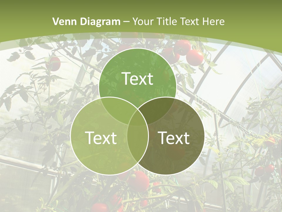 Yummy Healthy Plantation PowerPoint Template