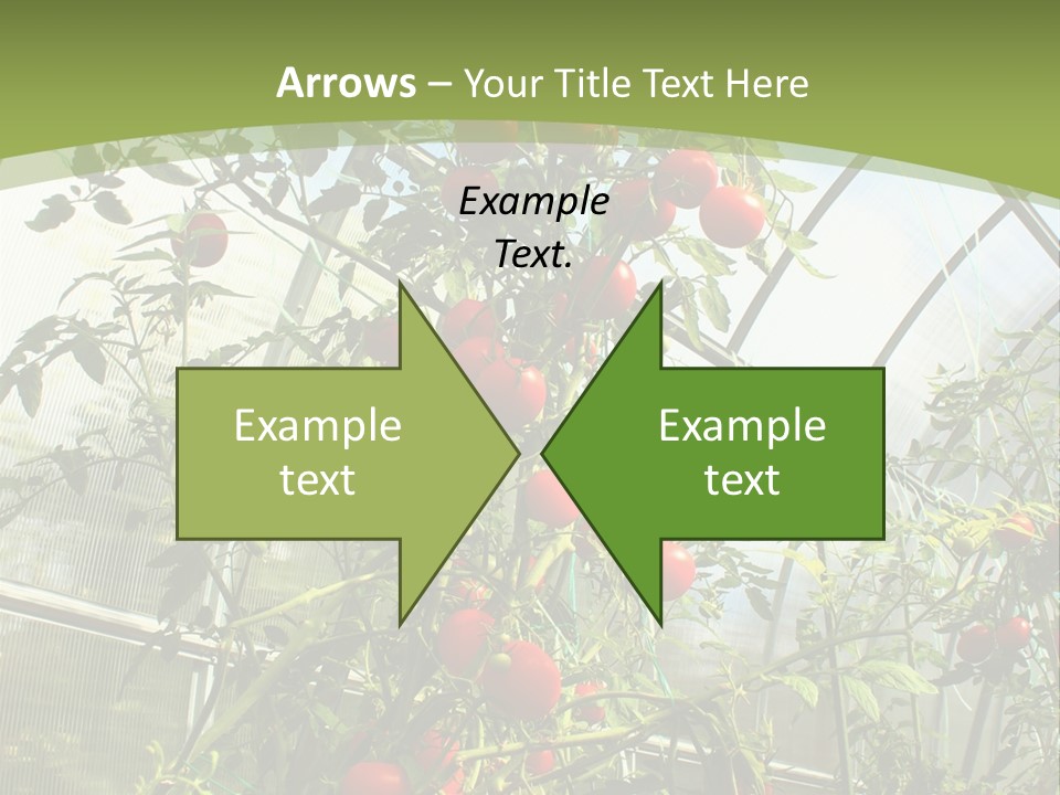 Yummy Healthy Plantation PowerPoint Template