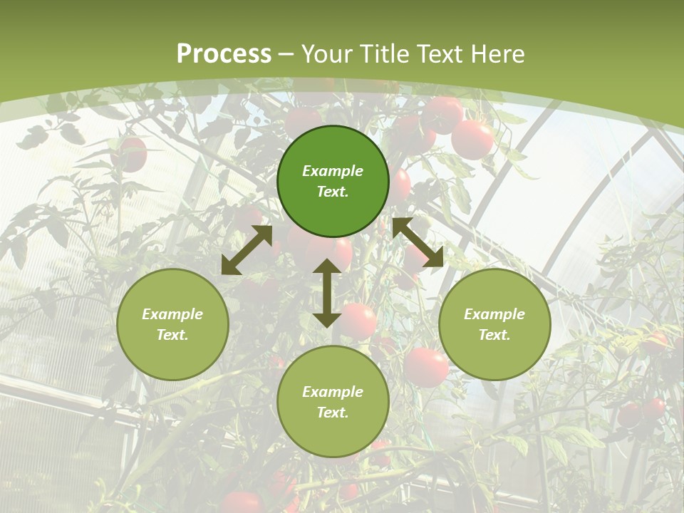 Yummy Healthy Plantation PowerPoint Template
