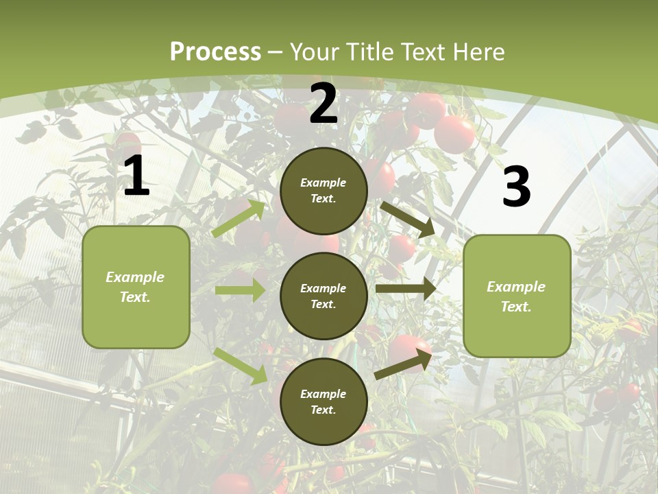 Yummy Healthy Plantation PowerPoint Template