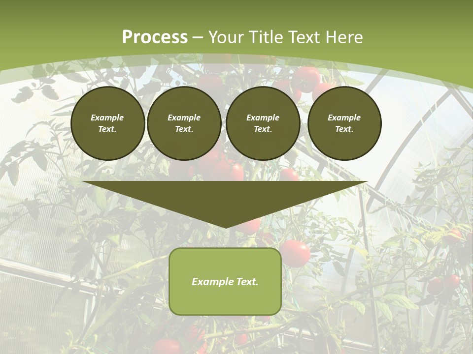 Yummy Healthy Plantation PowerPoint Template