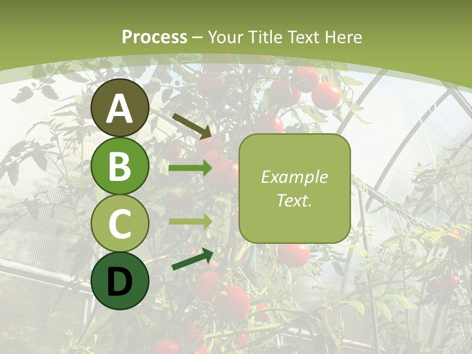 Yummy Healthy Plantation PowerPoint Template