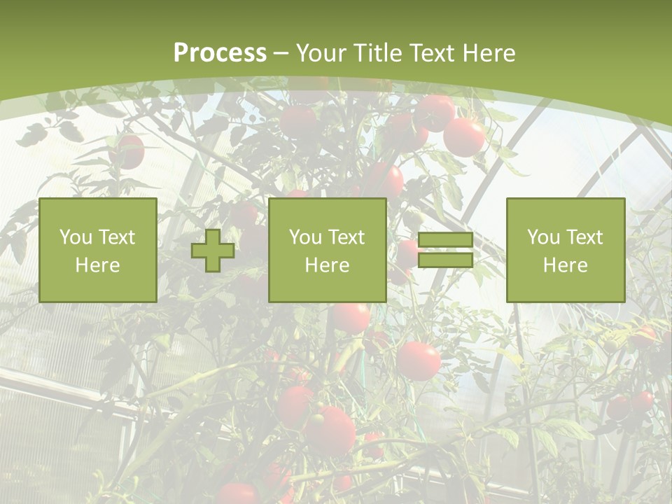 Yummy Healthy Plantation PowerPoint Template