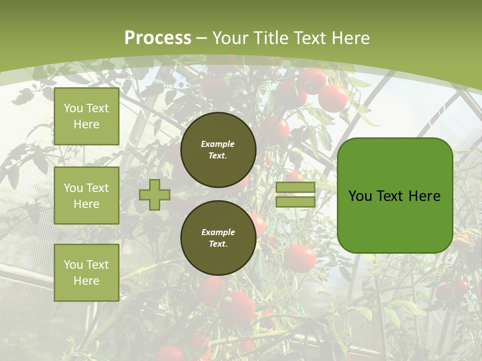 Yummy Healthy Plantation PowerPoint Template