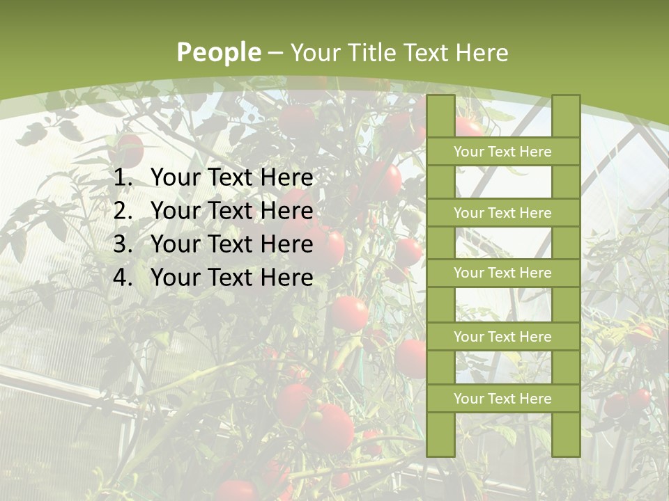 Yummy Healthy Plantation PowerPoint Template