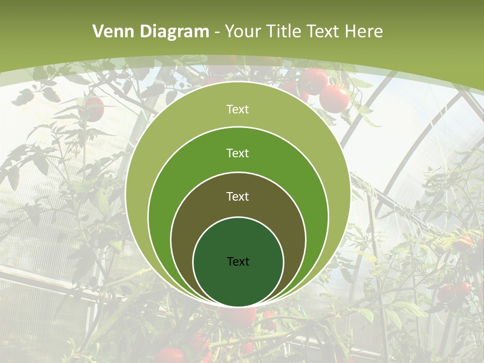 Yummy Healthy Plantation PowerPoint Template