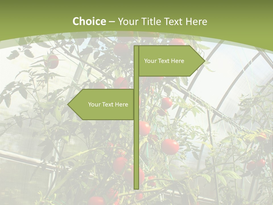 Yummy Healthy Plantation PowerPoint Template