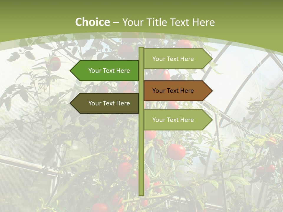 Yummy Healthy Plantation PowerPoint Template