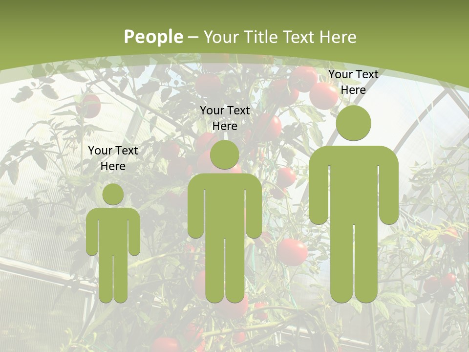 Yummy Healthy Plantation PowerPoint Template