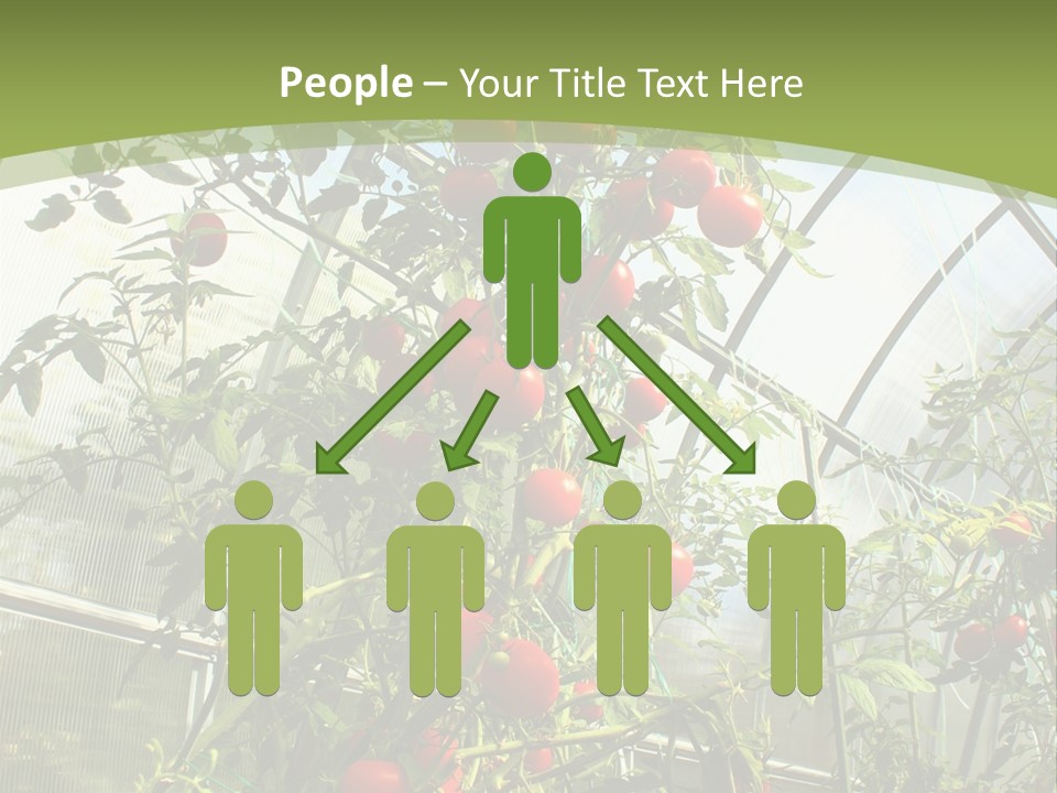 Yummy Healthy Plantation PowerPoint Template