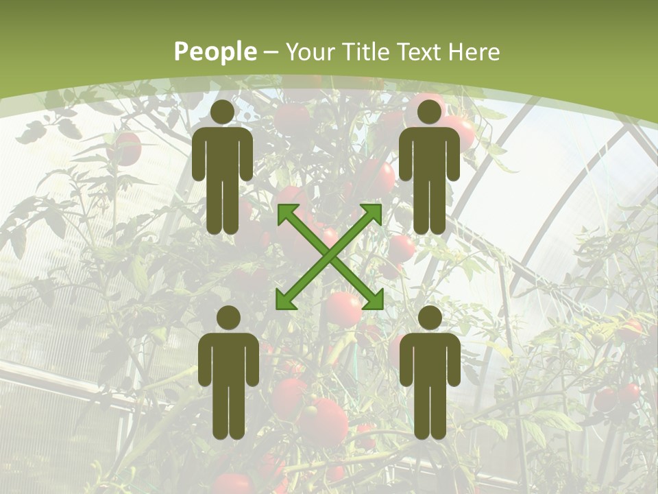 Yummy Healthy Plantation PowerPoint Template