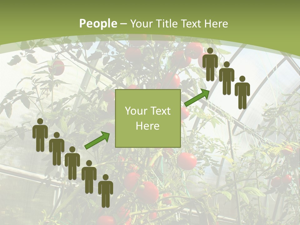 Yummy Healthy Plantation PowerPoint Template