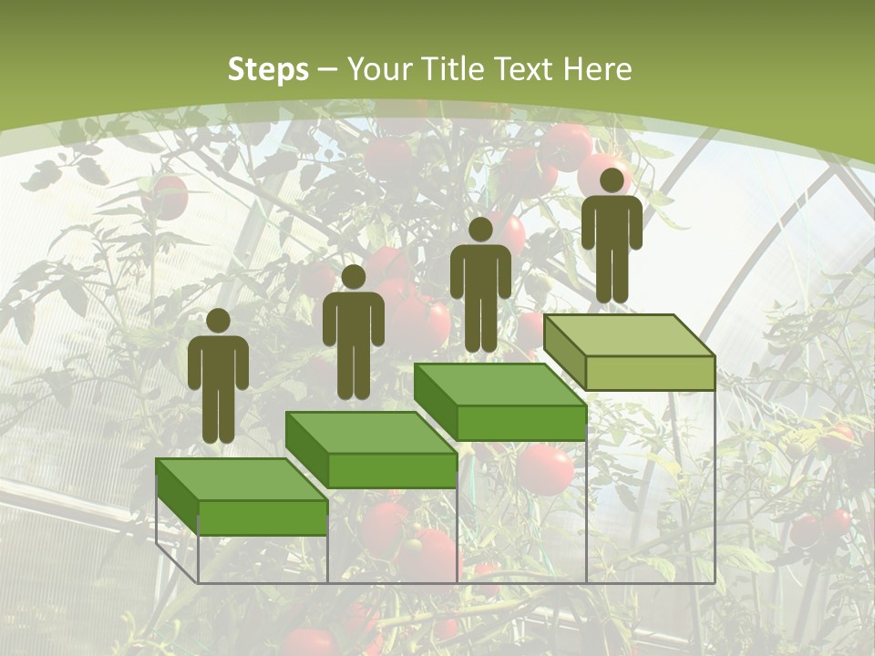 Yummy Healthy Plantation PowerPoint Template