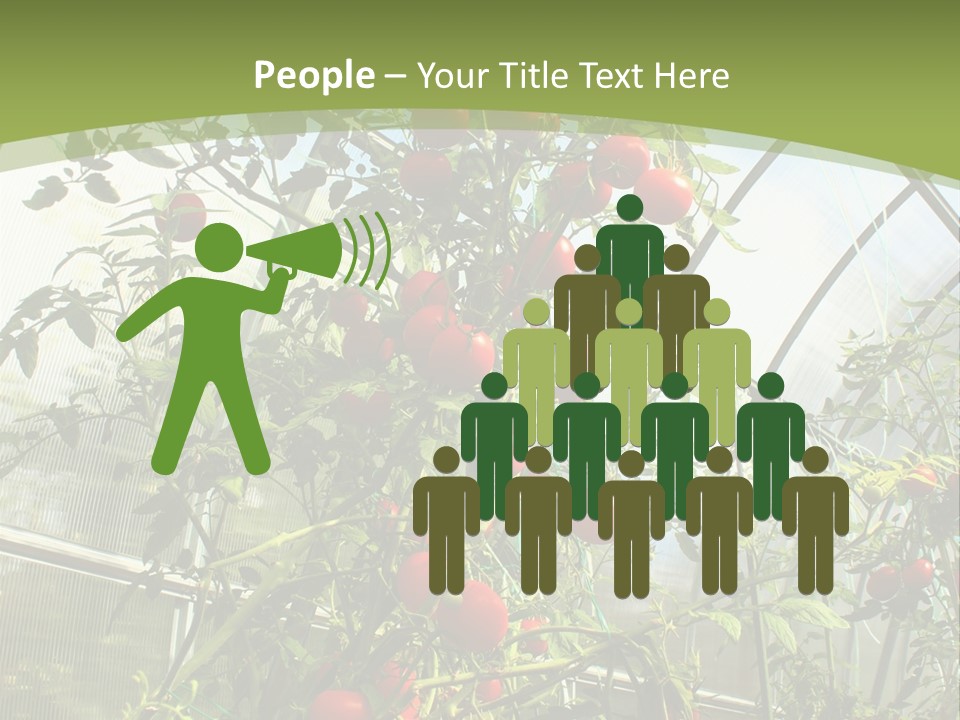 Yummy Healthy Plantation PowerPoint Template