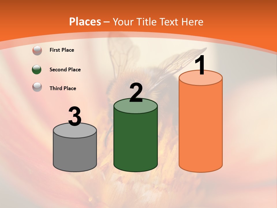 Flower Field Garden PowerPoint Template