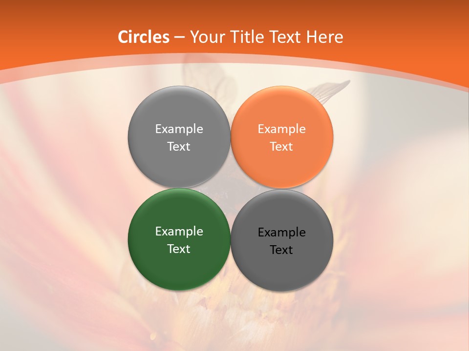 Flower Field Garden PowerPoint Template