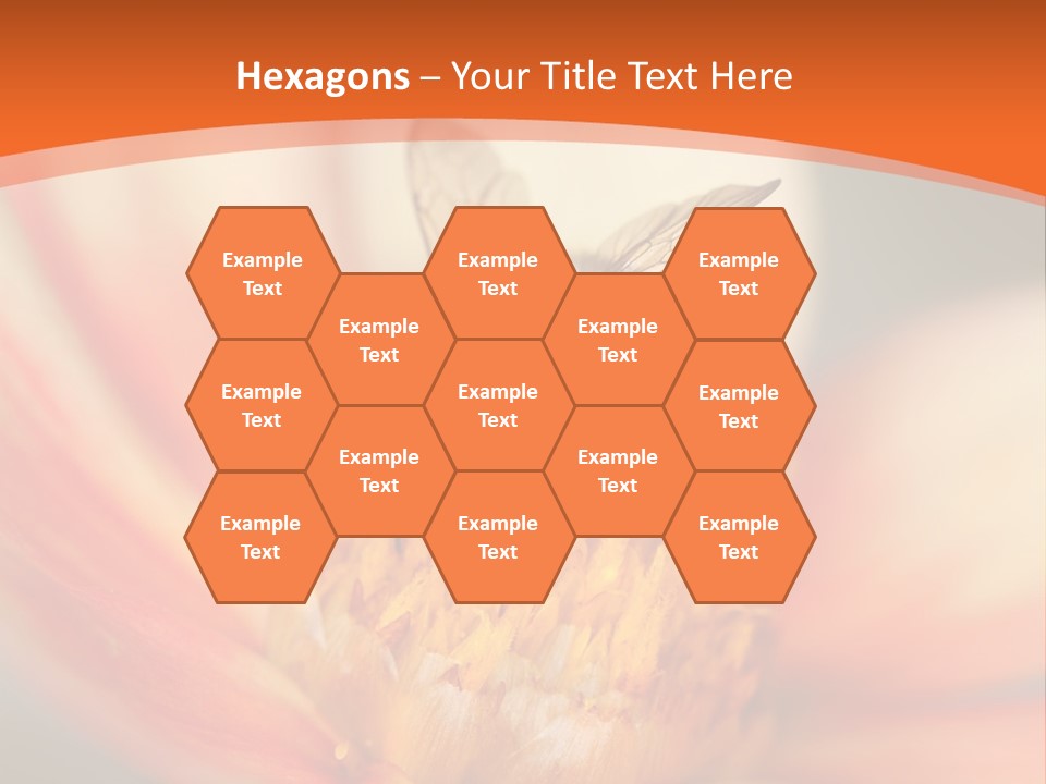 Flower Field Garden PowerPoint Template