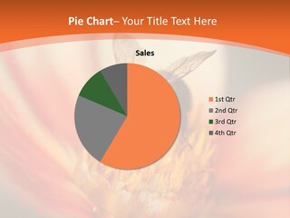 Flower Field Garden PowerPoint Template