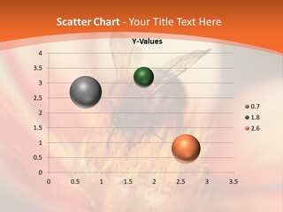 Flower Field Garden PowerPoint Template