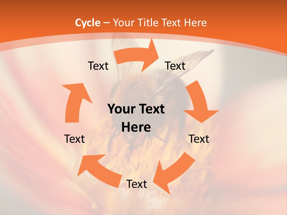 Flower Field Garden PowerPoint Template
